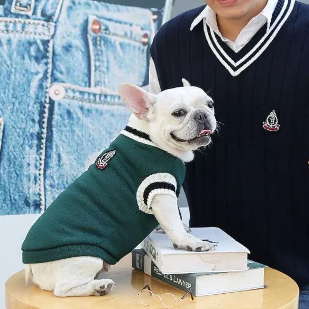Pull-pour-chien-style-collégien-vert