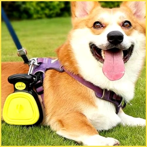 Ramasse-crotte-chien_à-pince-avec-porte-sac-intégré-corgi