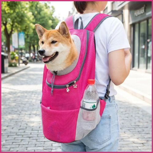 Sac-a-dos-pour-chien-ergonomique-confortable