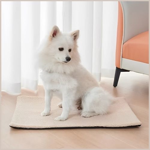 Tapis-chien-hiver-auto‑chauffant-petit-et-moyen-beige