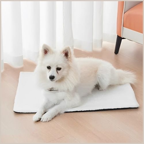 Tapis-chien-hiver-auto‑chauffant-petit-et-moyen-blanc