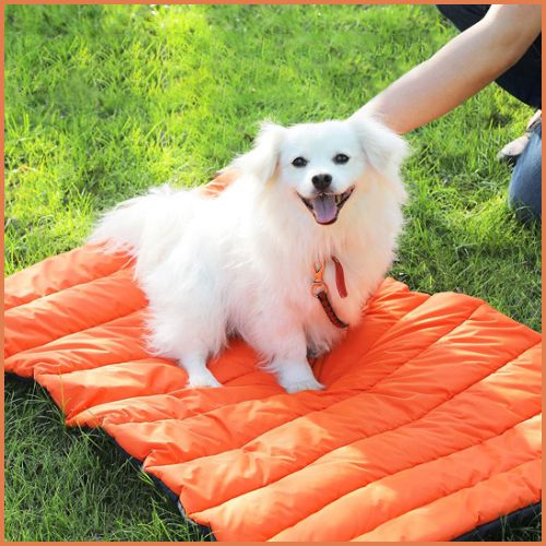Tapis-chien-imperméable-et-pliable-pour-extérieur_doux