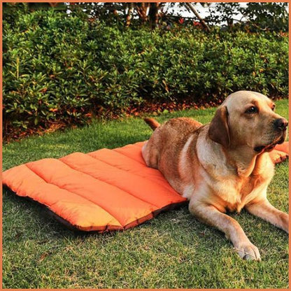 Tapis-chien-imperméable-et-pliable-pour-extérieur_grand-chien