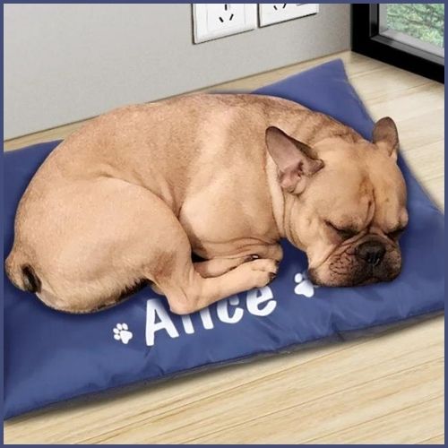 Tapis-chien-personnalisé-avec-housse-imperméable-et-déhoussable-bleu