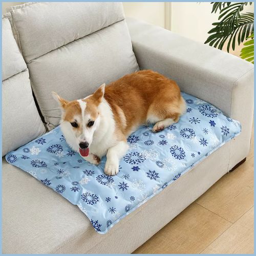 Tapis-chien-rafraichissante