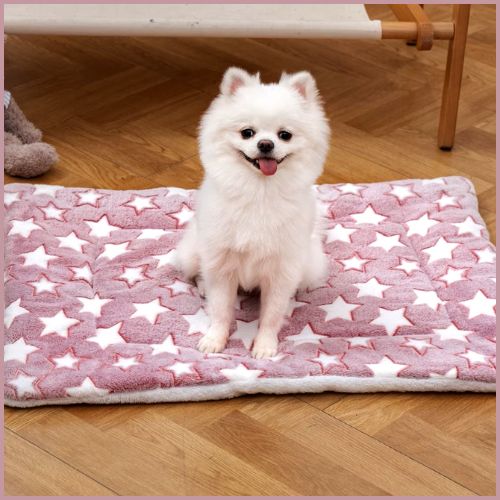 Tapis-pour-chien-doux-et-chaud-en-flanelle-lavable_rose