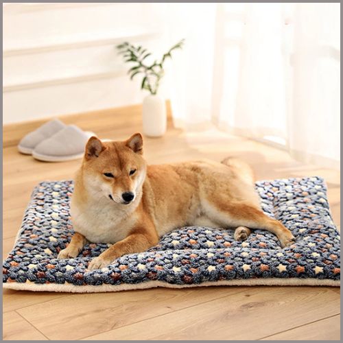 Tapis-pour-chien-doux-et-chaud-en-flanelle-lavable_bleu