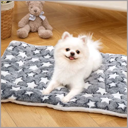 Tapis-pour-chien-doux-et-chaud-en-flanelle-lavable_gris