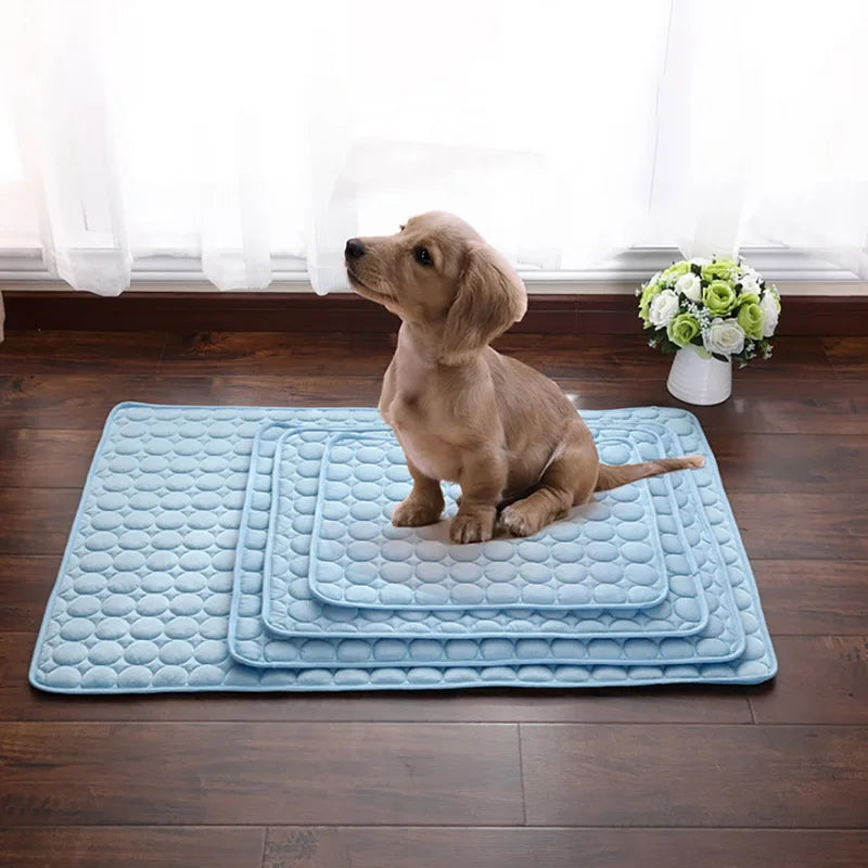 Tapis-pour-chien-rafraichissant-bleu