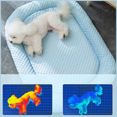 Tapis-rafraichissant-chien- confortable-et-anti‑chaleur