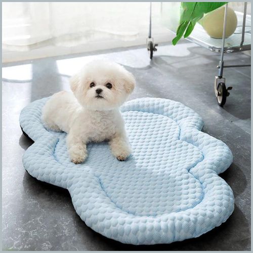 Tapis-rafraichissant-chien-confortable-et-anti‑chaleur- bichon-frise