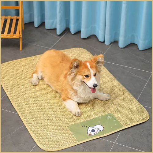 Tapis-rafraichissant-chien