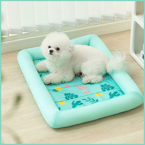 Tapis-rafraichissant-pour-chien_ fraîcheur-instantanée-vert