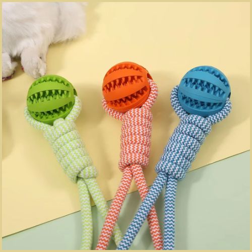 balle-chien_avec-corde-distributeur-de-friandises-couleur