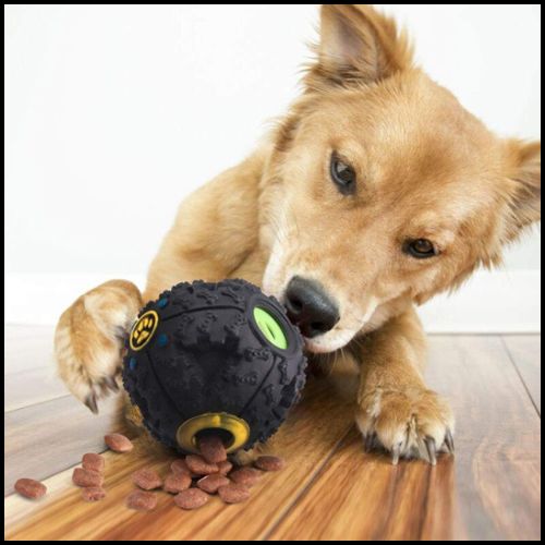 balle-chien_distributeur-de-friandises-et-hygiène-dentaire-croquette