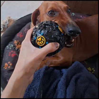 balle-chien-distributeur-de-friandises-et-hygiène-dentaire