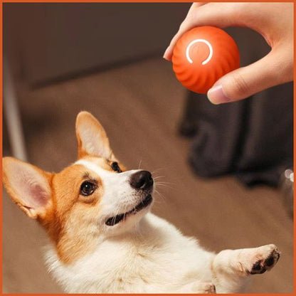balle-chien_automatique-et-rechargeable-jouer