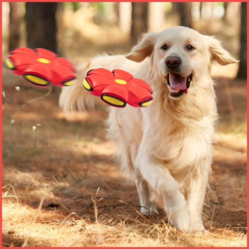 balle-chien_rebondissante-2-en-1-rouge