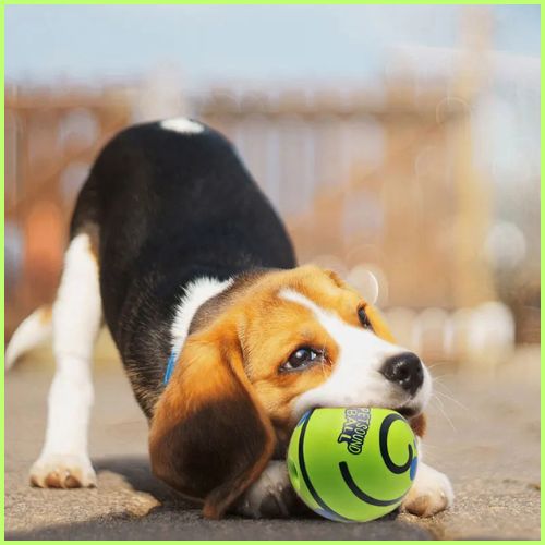 balle-pour-chien_interactive-sonore-avec-friandise-vert