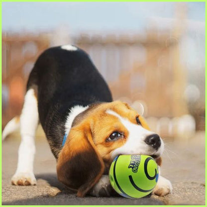 balle-pour-chien_interactive-sonore-avec-friandise-vert