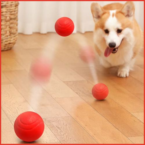 balle-pour-chien_rebondissante-en-caoutchouc-résistant-jeux