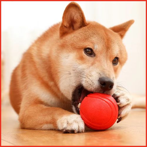 balle-pour-chien-rebondissante-en-caoutchouc-résistant-rouge