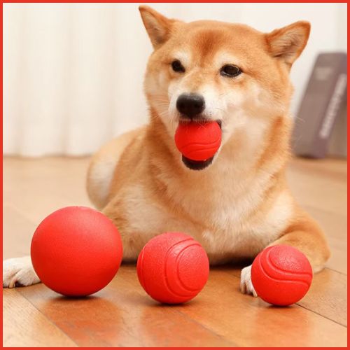 balle-pour-chien_rebondissante-en-caoutchouc-résistant-shiba