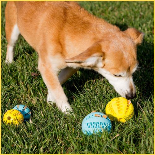 balle-pour-chien_à-mâcher-en-silicone-avec-friandise-jaune