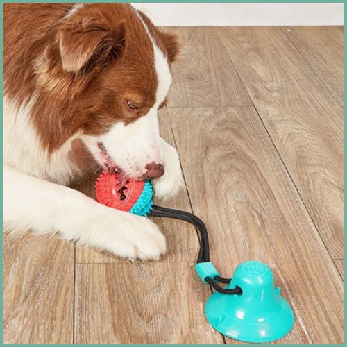 balle-pour-chiens_anti-stress-avec-friandise-et-ventouse-jouet
