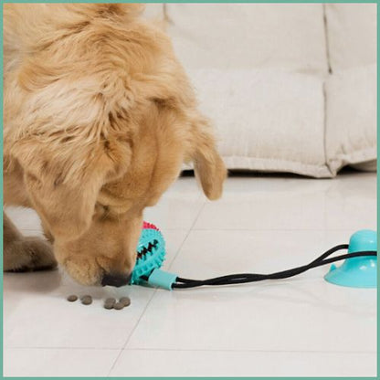 balle-pour-chiens_anti-stress-avec-friandise-et-ventouse-croquette