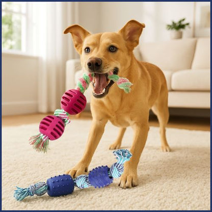 balle-_pour-chiens_maison