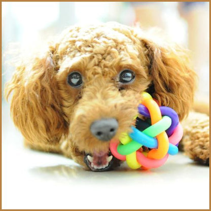 balles_chien_multicolore