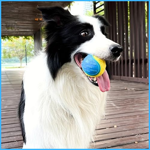 balles-chien-sonore-en-pack-de-6-bleu