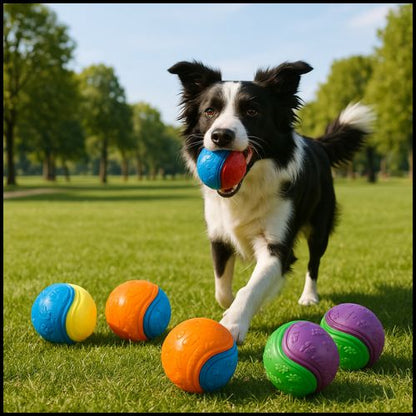 balles-chien_multicolore