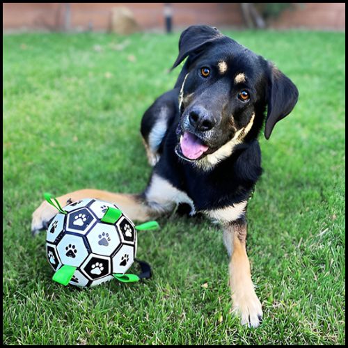Ballon_chien_football-résistant-blanc