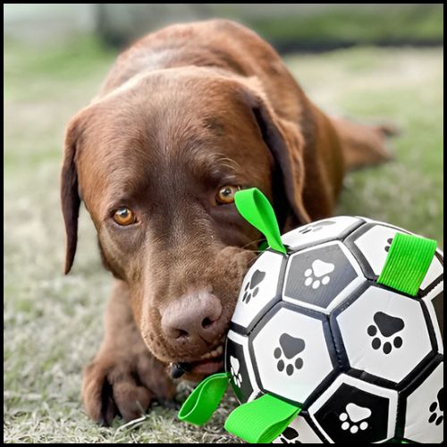 Ballon_chien_football-résistant-noir