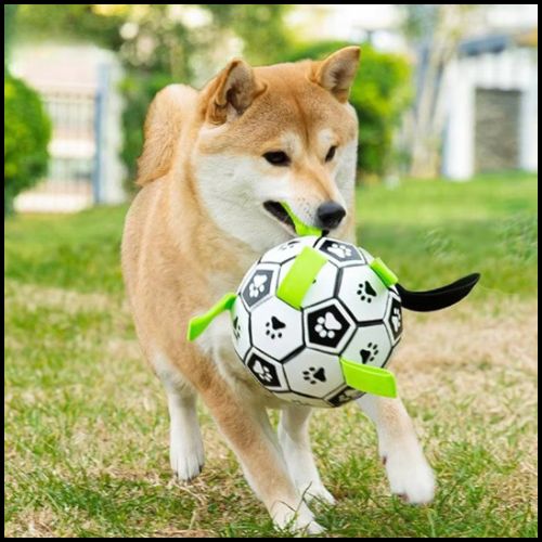 Ballon_chien_football-résistant-shiba-inu
