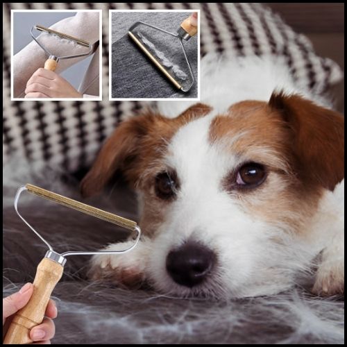 brosse-anti-poil-chien-pour-vêtements