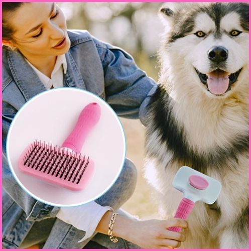 brosse-pour-chien-autonettoyante-poils-longs-rose