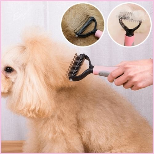 brosse-pour-chien-râteau-sous-poil-anti-nœuds-démêlant-bleu-rose