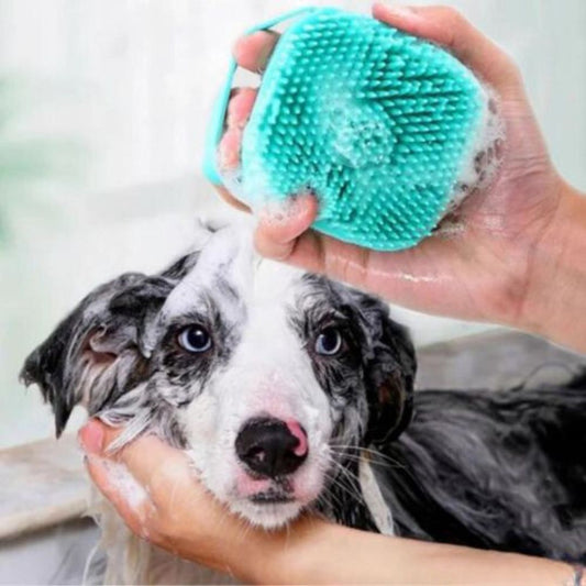 brosse pour chien 