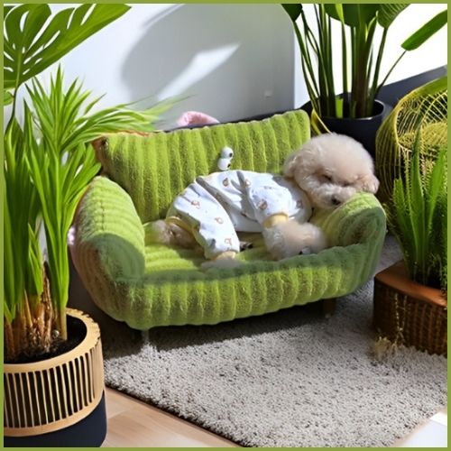canapé-pour-petit-chien-doux-et-confortable-vert