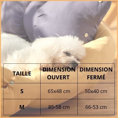 canapé-chien-3-en-1-modulable-pour-petit-et-moyen-taille