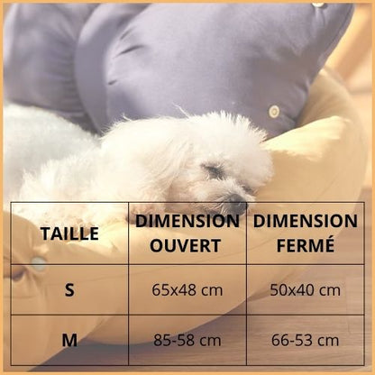 canapé-chien-3-en-1-modulable-pour-petit-et-moyen-taille