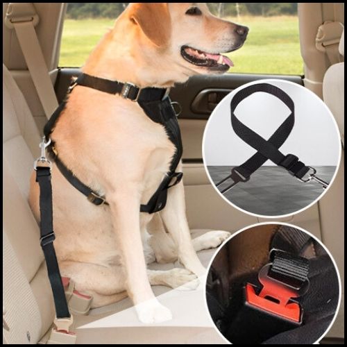 ceinture-de-sécurité-pour-chien_réglable-et-résistante-noir