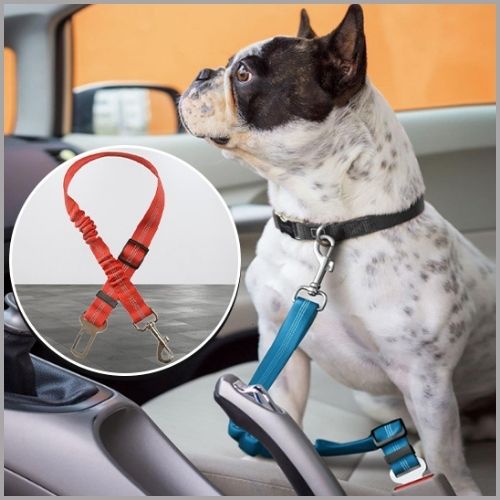 ceinture-de-sécurité-pour-chien-extensible-et-réglable-rouge