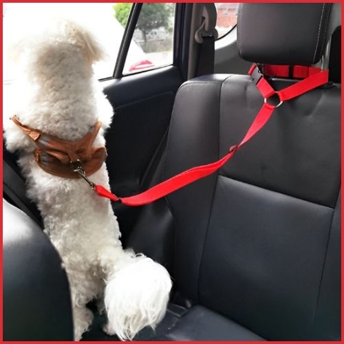 ceinture-de-sécurité-pour-chien_convertible-en-laisse-rouge