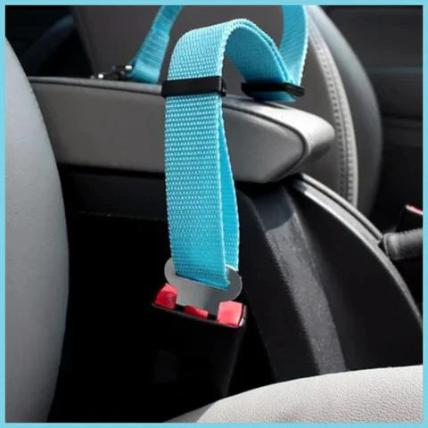 ceinture-de-sécurité-pour-chien_réglable-et-résistante-bleu