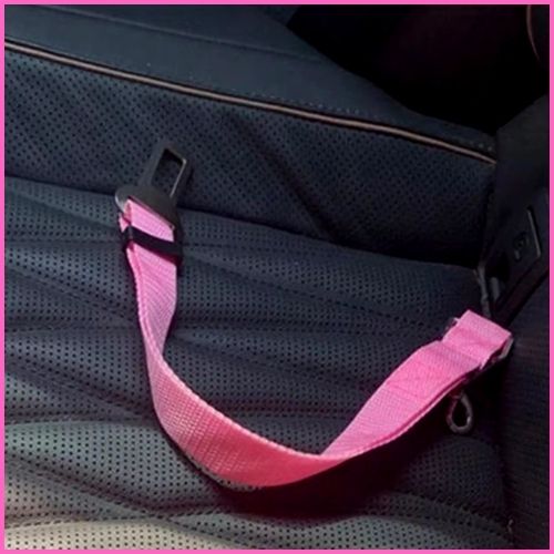 ceinture-de-sécurité-pour-chien_réglable-et-résistante-rose