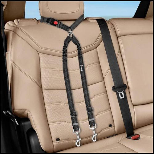 ceinture-de_sécurité-pour-chien-double-attache-voiture